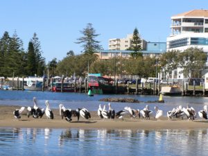 Port Macquarie
