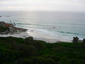 View from the Bay of Fires Lodge.