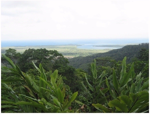 Daintree rainforest Far North Queensland