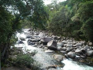 mossman1