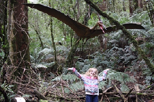 otway-dinosaur Otway Treetop walk adventour