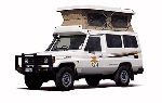 Drivenow Campervan Icon