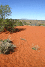 Explore the Australian Outback with a KEA Campervan rental from Alice Springs