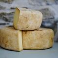 Cheese in Tasmania