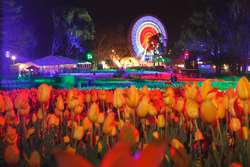 Floriade’s NightFest all set to light up Canberra in October