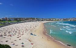 Bondi Beach