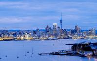 Find all the best deals on Auckland car rental with DriveNow