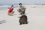 Tasmania's Bay of Fires