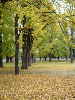 Great drives – Melbourne to Sydney (Tumut, a place to sweep you off your feet!)