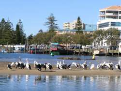 Driving holidays – a perfect Port (NSW)