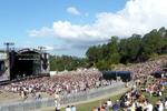 Splendour in the Grass