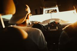 The best road trip companions