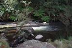 An idyllic waterway in the Barrington Tops National Park