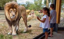 Family holiday fun on the road beyond Sydney this Spring