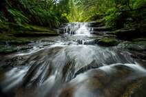 Head for the hills for these Blue Mountains attractions