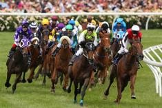 melbourne cup