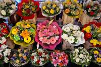 Visit the Sydney Flower Market for a splash of colour and sweet scents