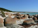 Splendid Coast of Tasmania