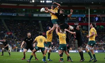 bledisloe cup