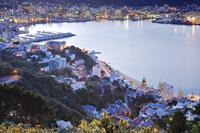 Winter in Wellington