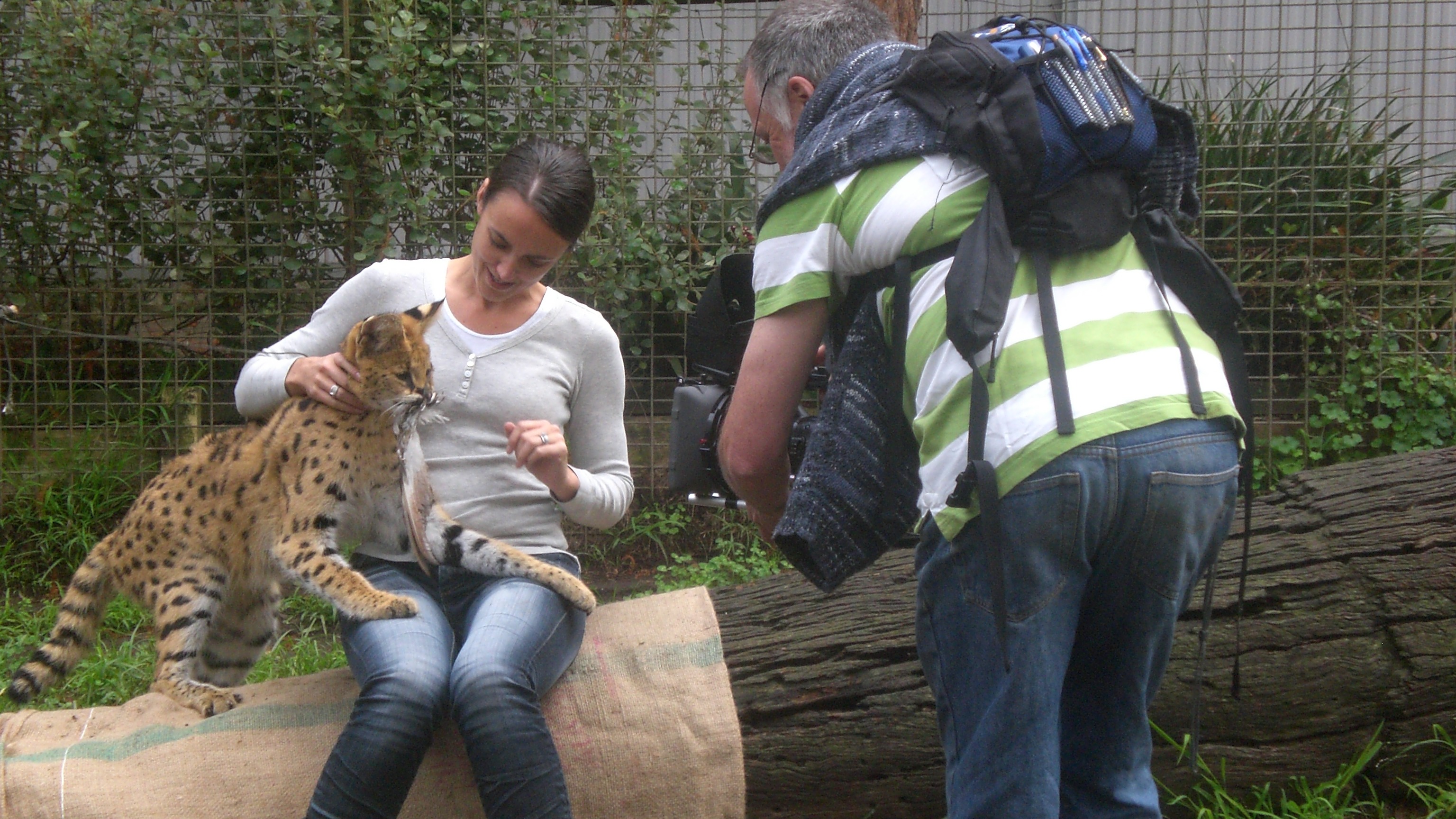 quenbeayan sheree at Mogo Zoo in Nelligen