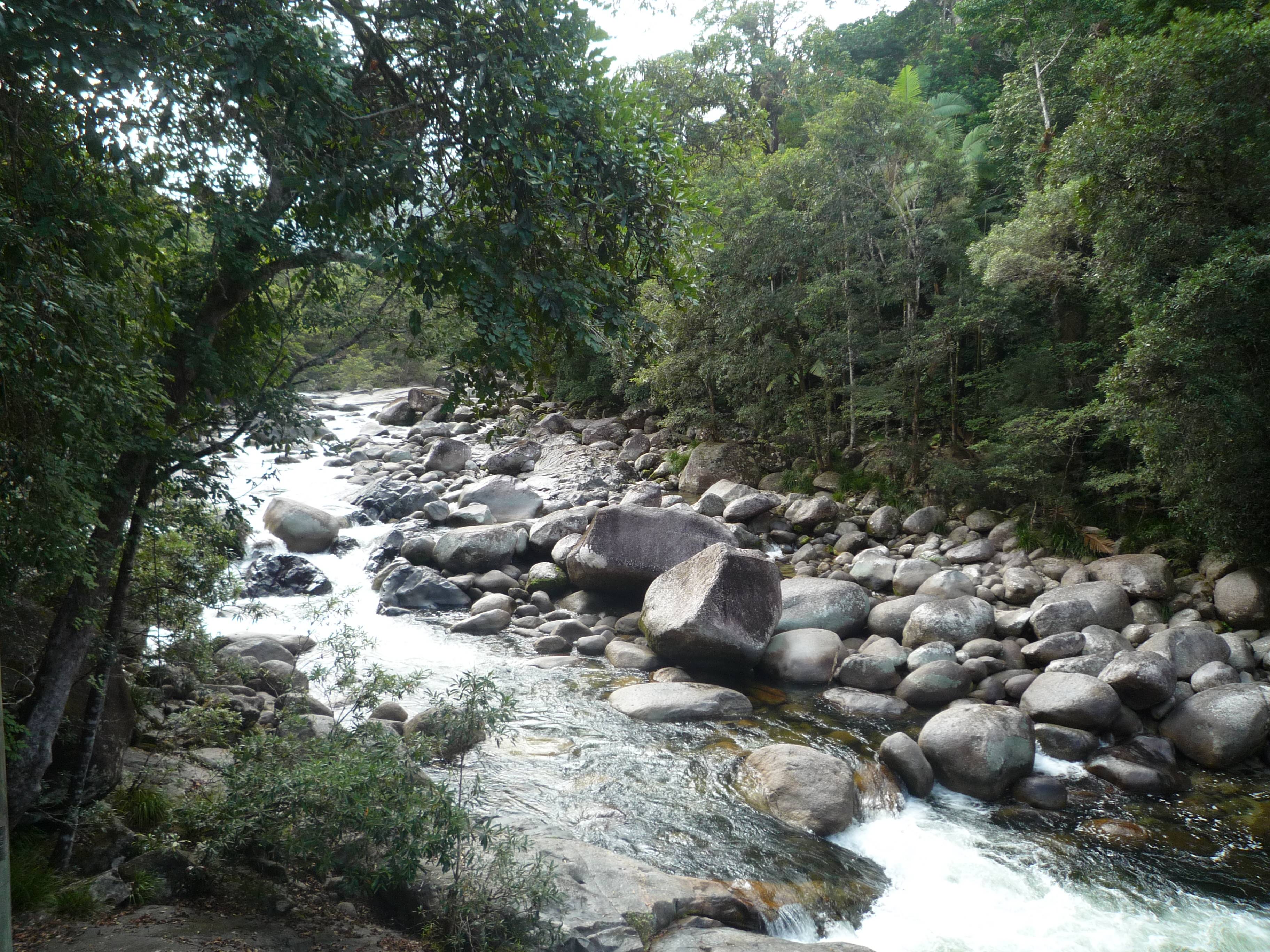 mossman1