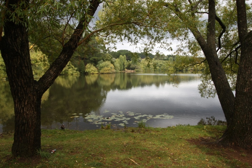daylesfordlake