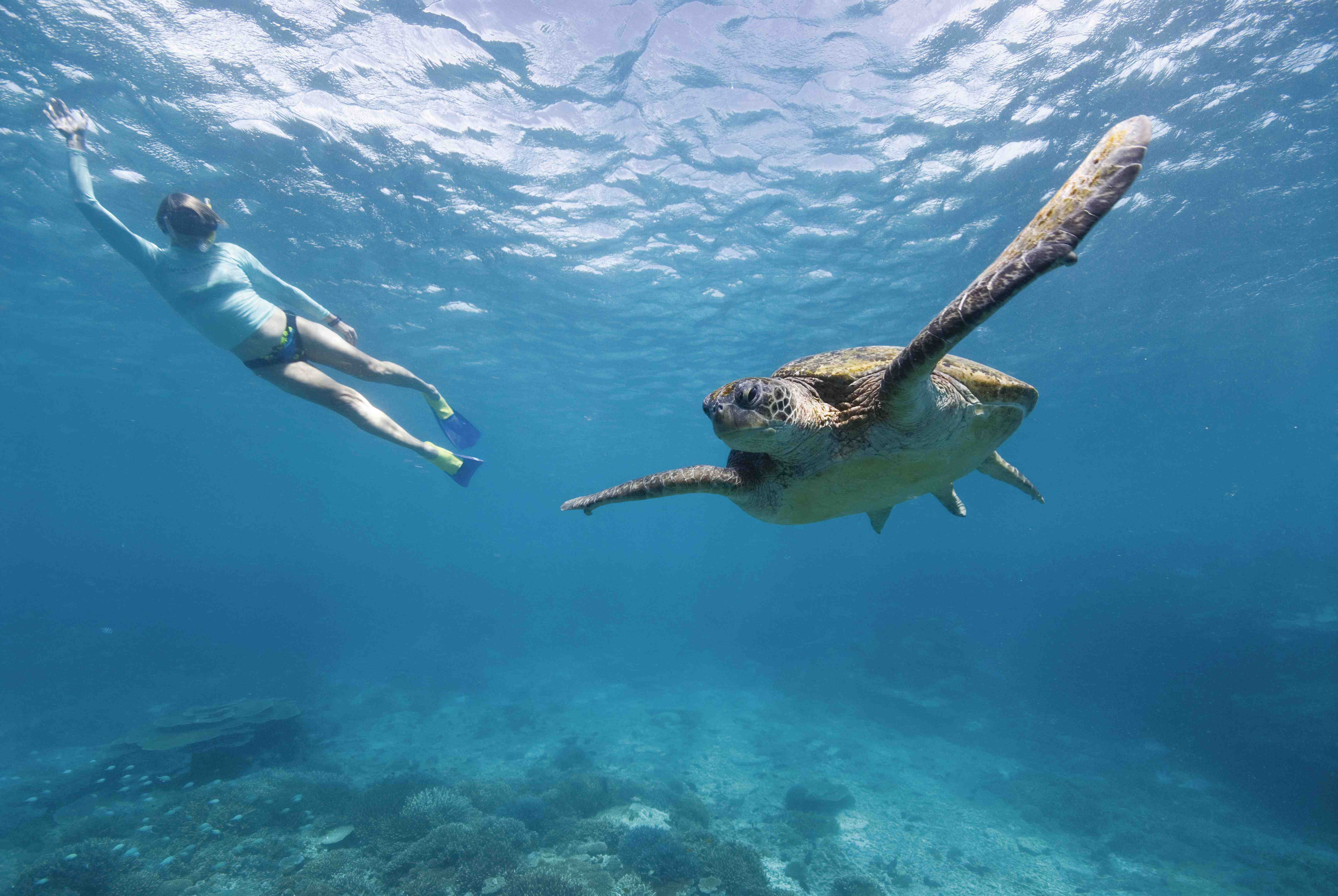 Pic: Tourism Queensland