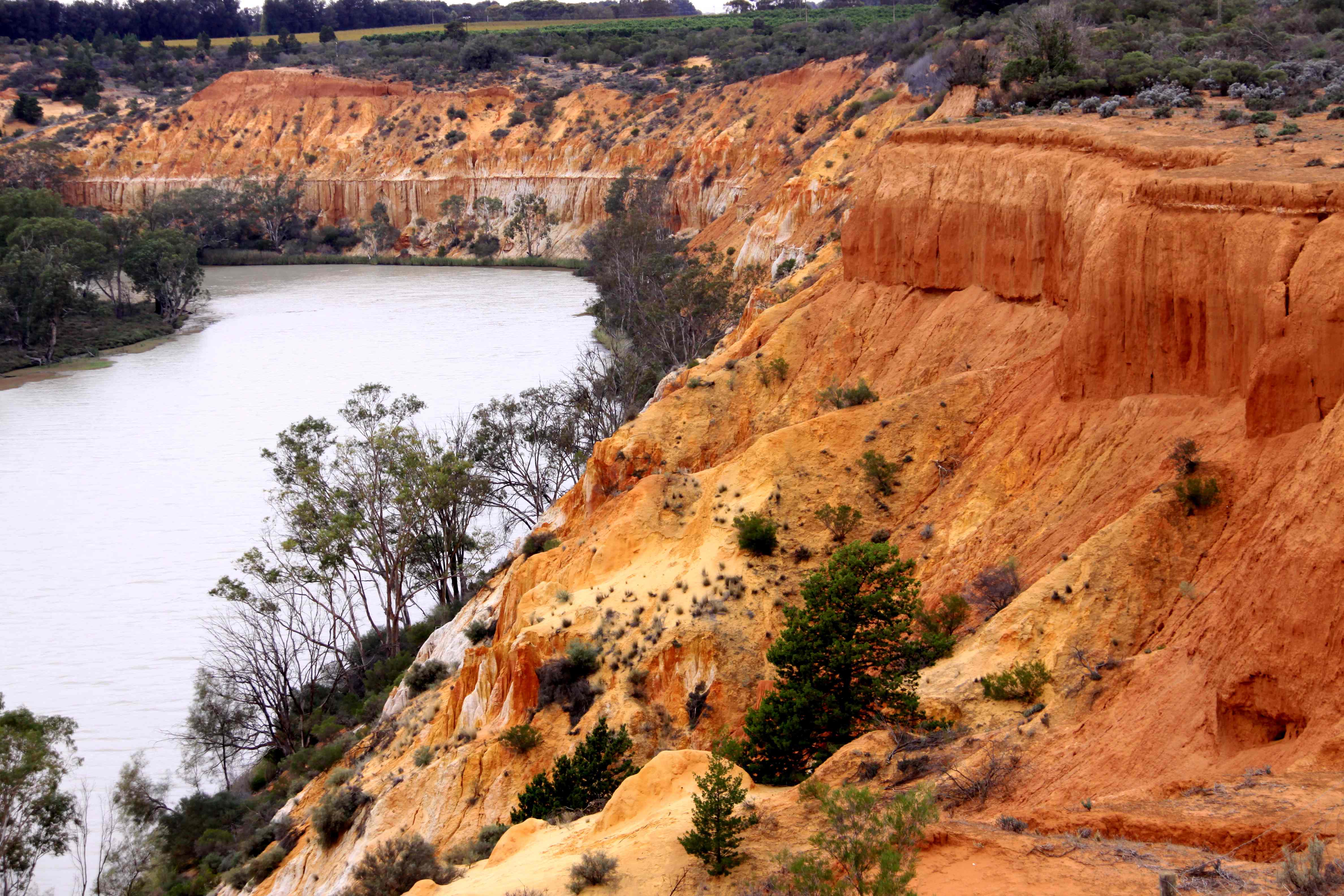 renmark1