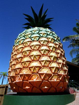 bigpineapple