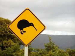 Do you ever stop on a road trip to take photos with the road signs?