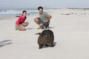 Bay of Fires, Tasmania