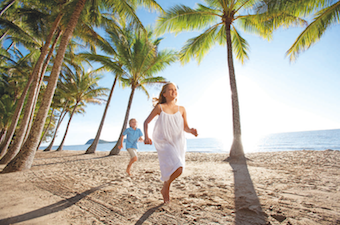 palmcove