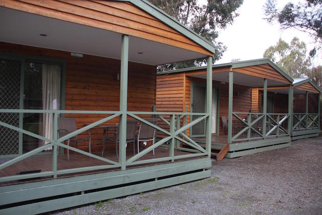 regional shepp