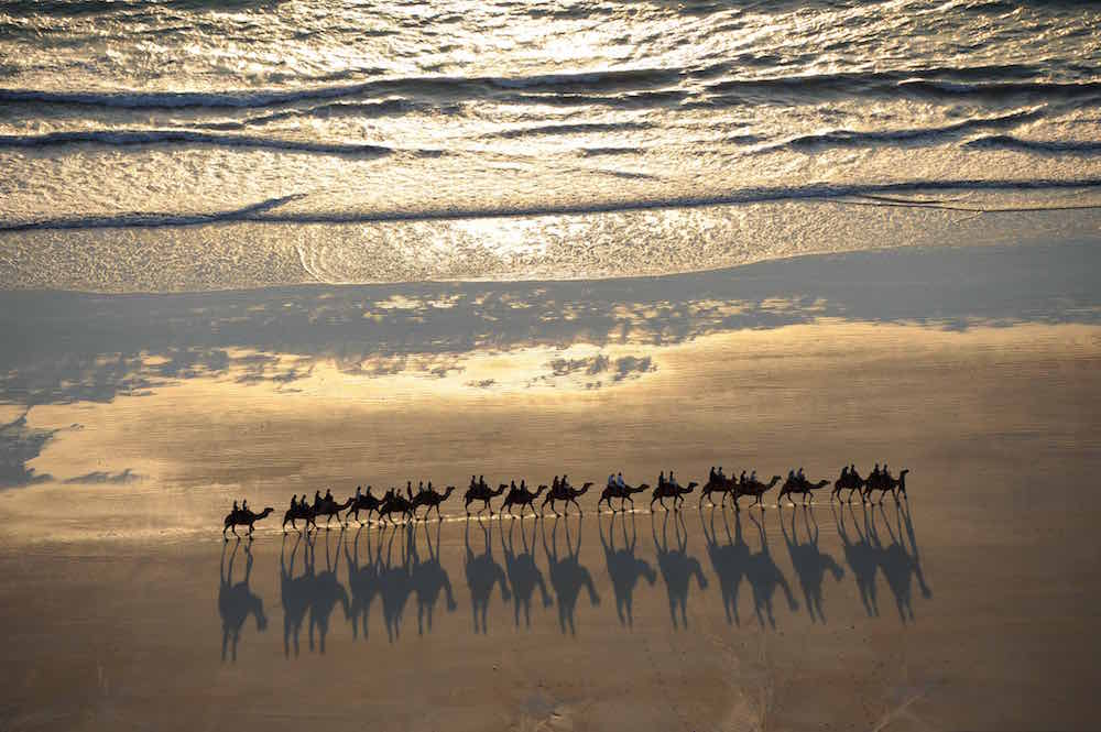 Camels Broome's Cable Beach. Photo James Morgan