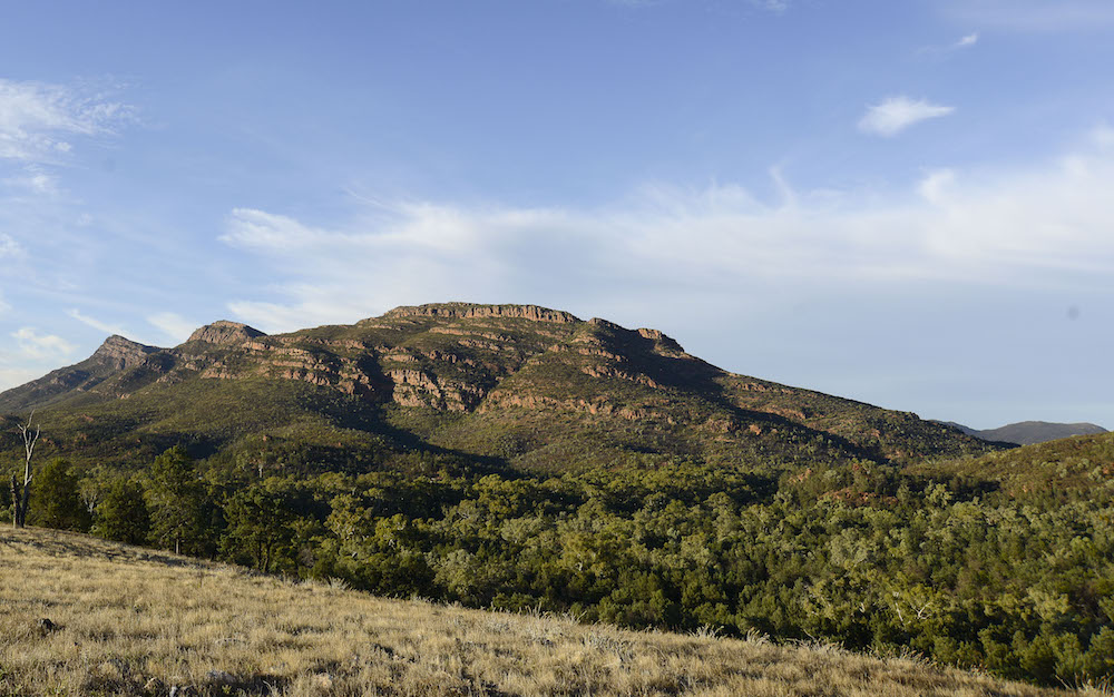 Mount Ohlssen Bagge provides a photogenic backdrop on a early morning walk with Kayla Flavel.