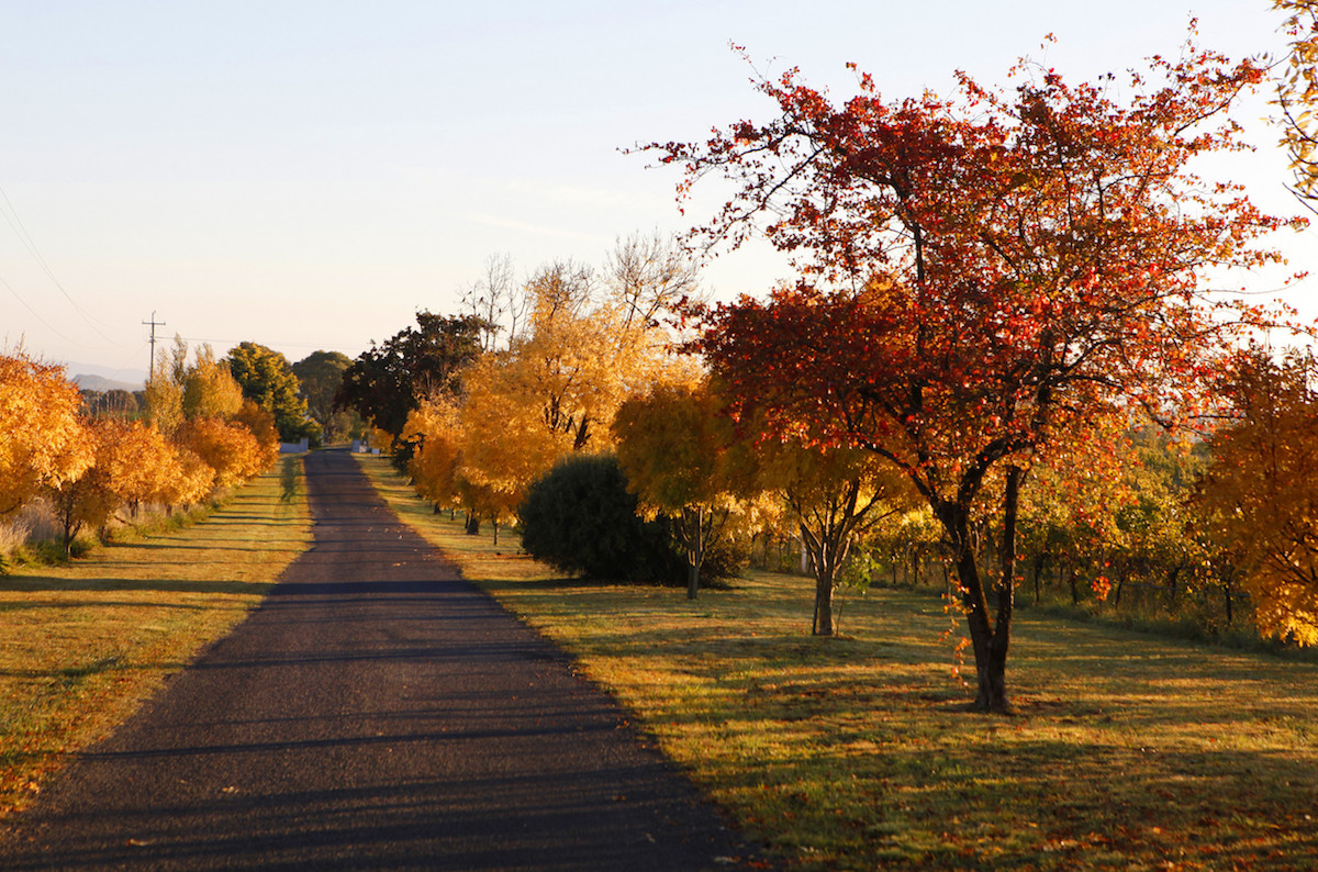 autumn destination nsw