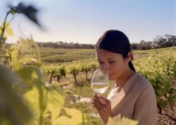 Barossa Valley