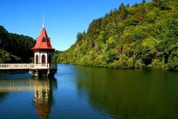 zealandia