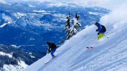 whistler