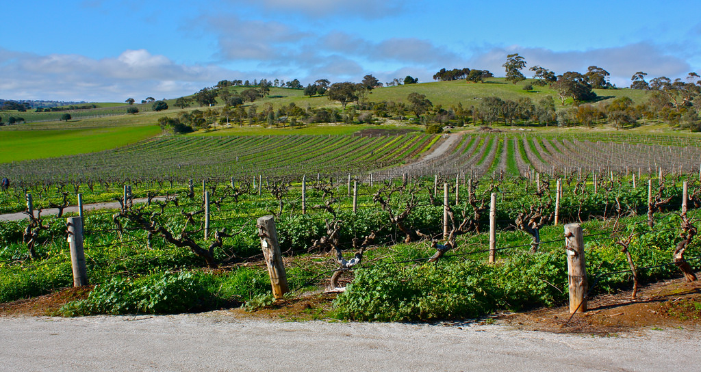 Barossa Valley, Adelaide