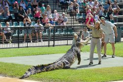 Australia Zoon Sunshine Coast