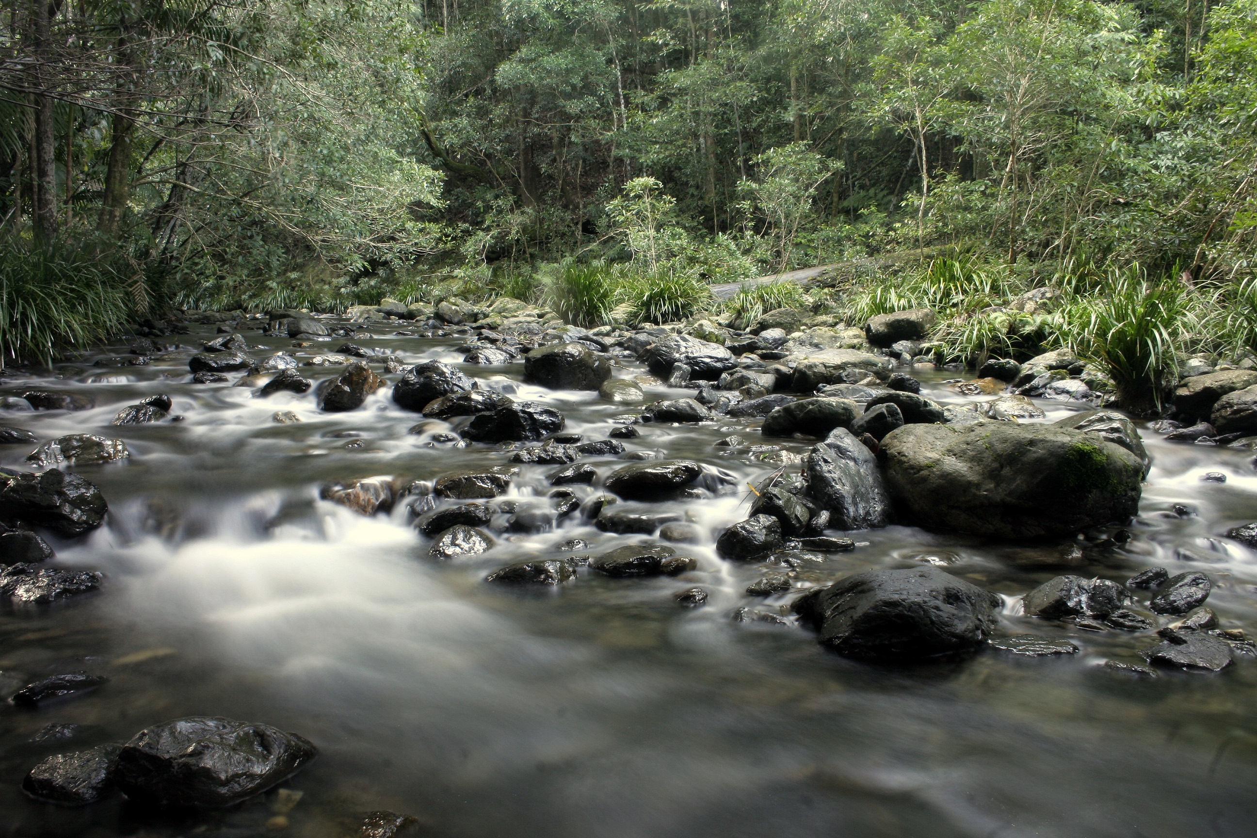 Calm waters of Bindarri National Park