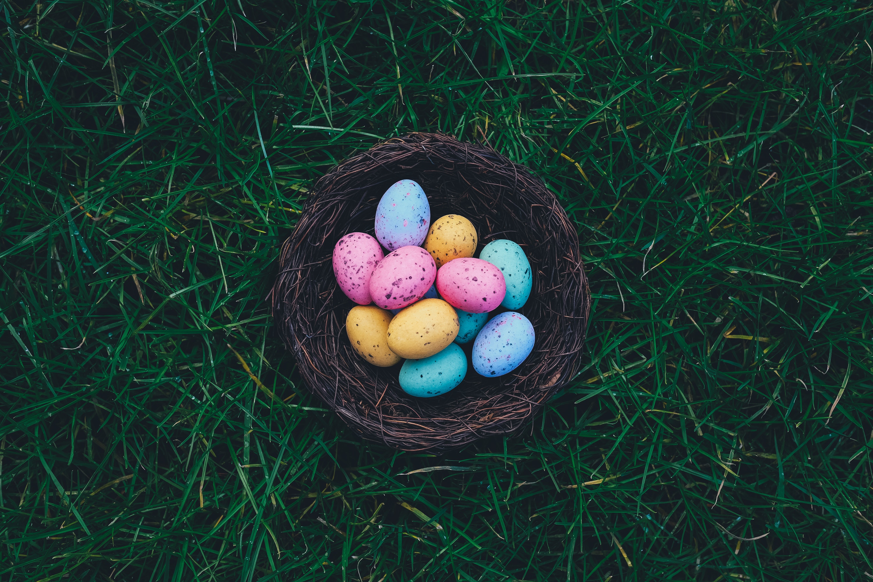 Easter Activities Sydney