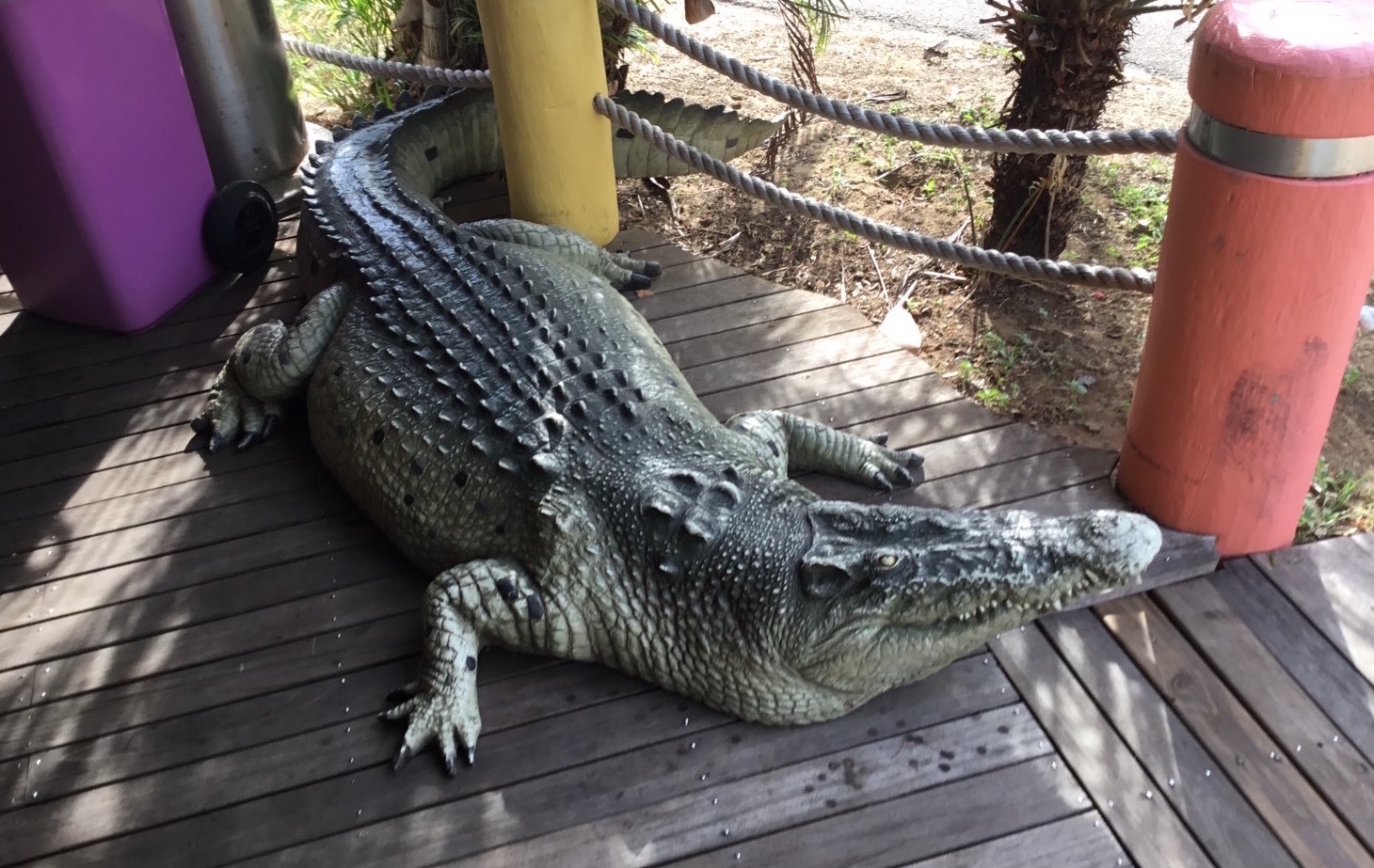 Conway Beach Tourist Park