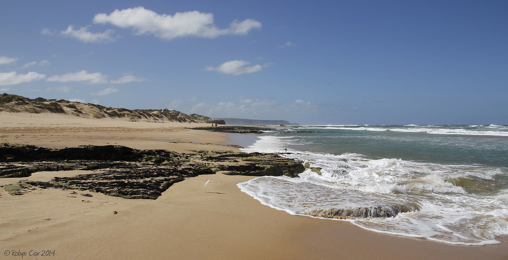 Gunnamatta walking track