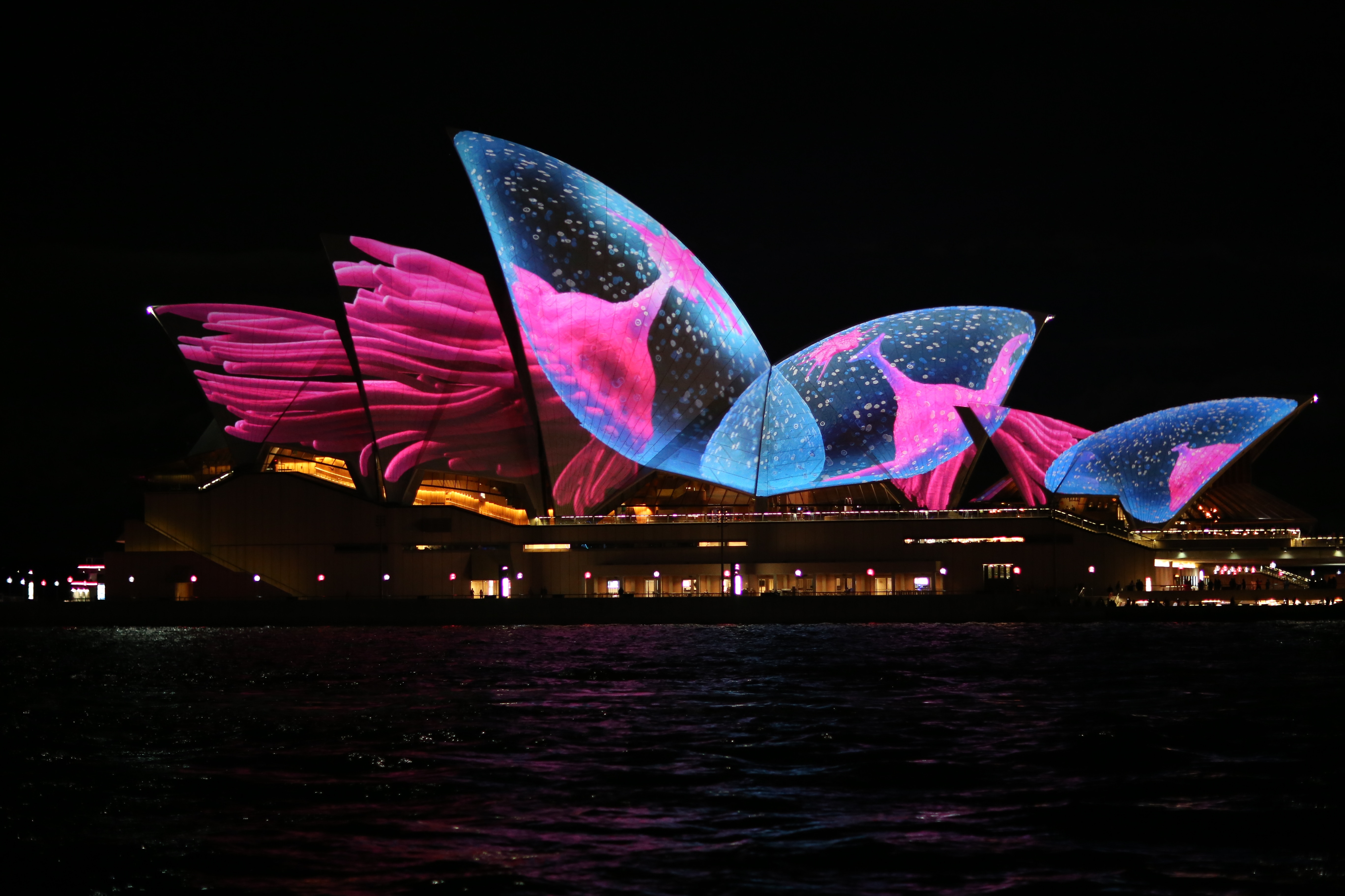 Vivid Sydney DriveNow Spotify Playlist Vivid Sydney DriveNow Spotify Playlist