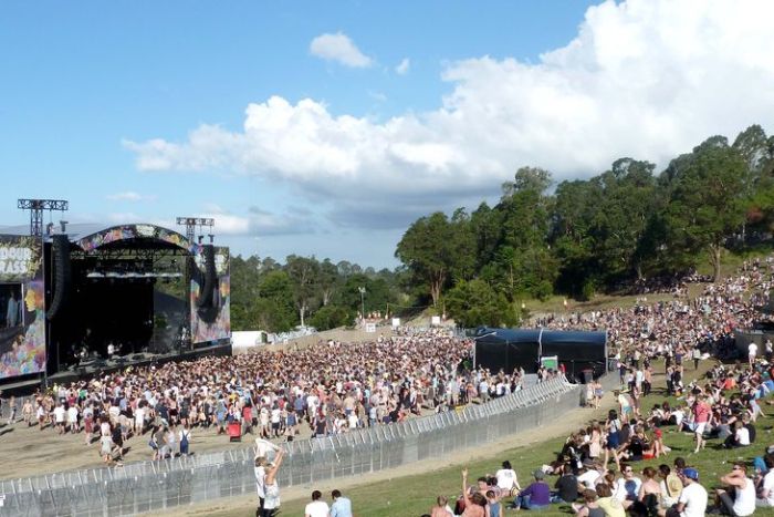Splendour in the Grass Splendour in the Grass
