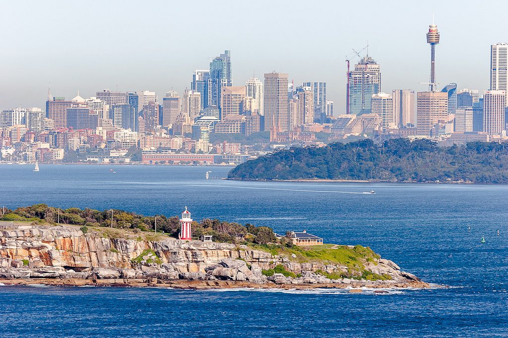 whale watching Landscape view of Sydney Harbour