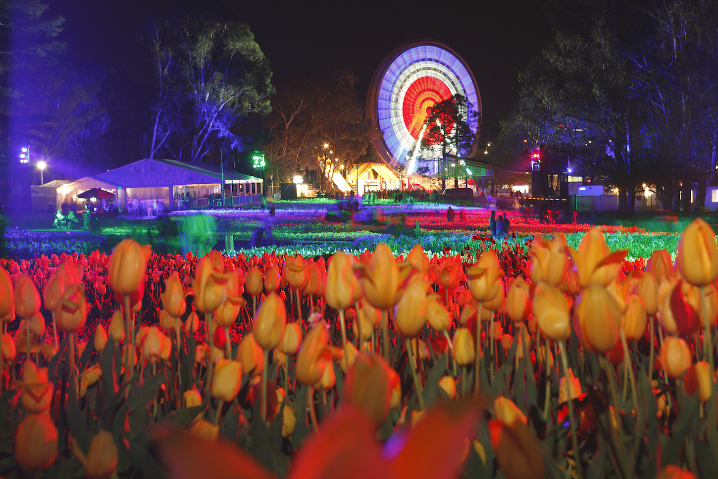 Floriade NightFest Canberra